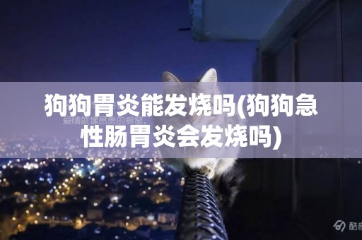 狗狗胃炎能發燒嗎(狗狗急性腸胃炎會發燒嗎)