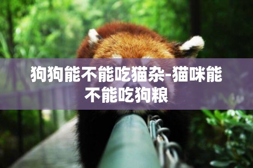 狗狗能不能吃貓雜-貓咪能不能吃狗糧