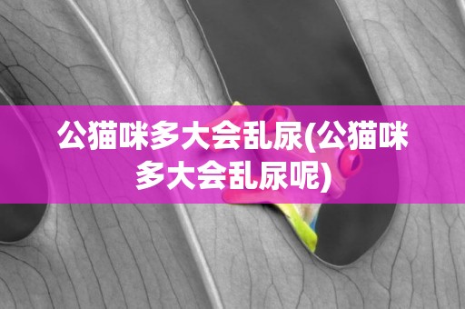公貓咪多大會亂尿(公貓咪多大會亂尿呢)