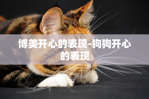博美開心的表現-狗狗開心的表現