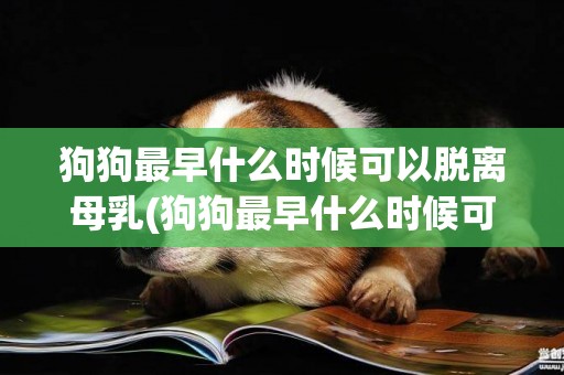 狗狗最早什么時候可以脫離母乳(狗狗最早什么時候可以脫離母乳了)
