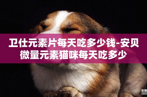 衛仕元素片每天吃多少錢-安貝微量元素貓咪每天吃多少