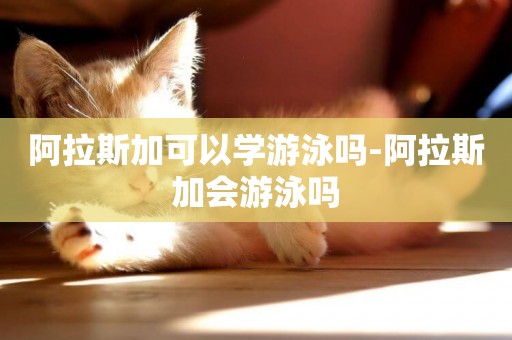 阿拉斯加可以學游泳嗎-阿拉斯加會游泳嗎