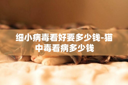 細小病毒看好要多少錢-貓中毒看病多少錢