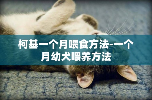 柯基一個月喂食方法-一個月幼犬喂養方法