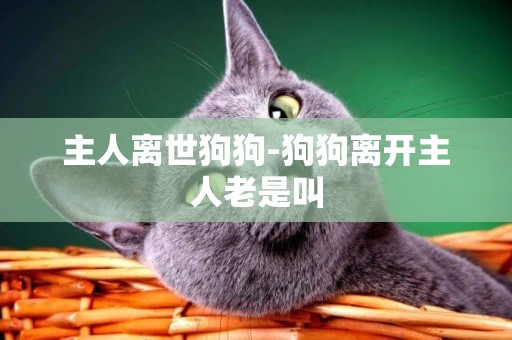 主人離世狗狗-狗狗離開主人老是叫