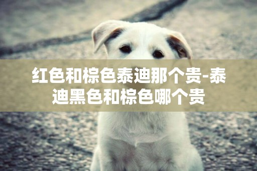 紅色和棕色泰迪那個貴-泰迪黑色和棕色哪個貴