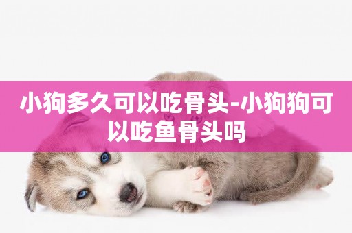 小狗多久可以吃骨頭-小狗狗可以吃魚骨頭嗎