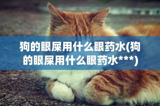 狗的眼屎用什么眼藥水(狗的眼屎用什么眼藥水***)