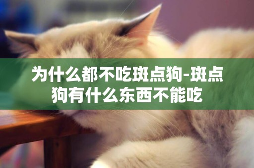 為什么都不吃斑點狗-斑點狗有什么東西不能吃