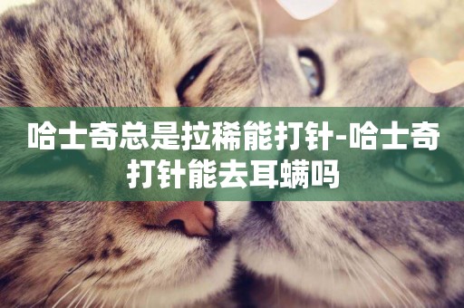 哈士奇總是拉稀能打針-哈士奇打針能去耳螨嗎
