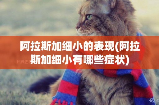 阿拉斯加細小的表現(阿拉斯加細小有哪些癥狀)