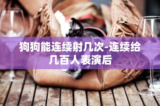 狗狗能連續射幾次-連續給幾百人表演后