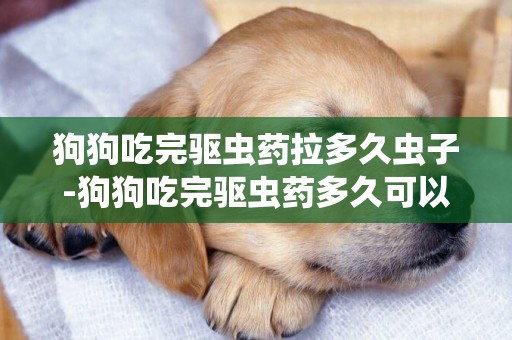 狗狗吃完驅蟲藥拉多久蟲子-狗狗吃完驅蟲藥多久可以吃東西