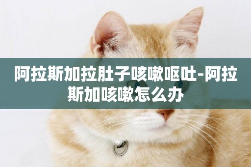 阿拉斯加拉肚子咳嗽嘔吐-阿拉斯加咳嗽怎么辦