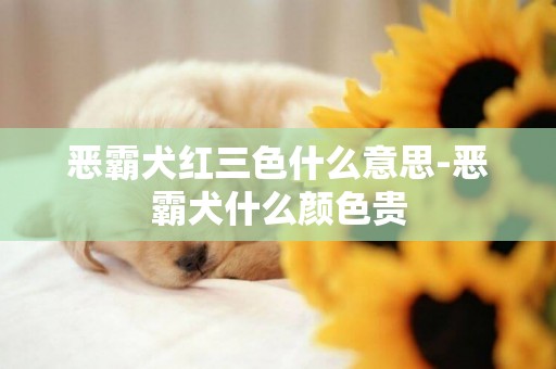惡霸犬紅三色什么意思-惡霸犬什么顏色貴