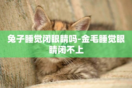 兔子睡覺閉眼睛嗎-金毛睡覺眼睛閉不上