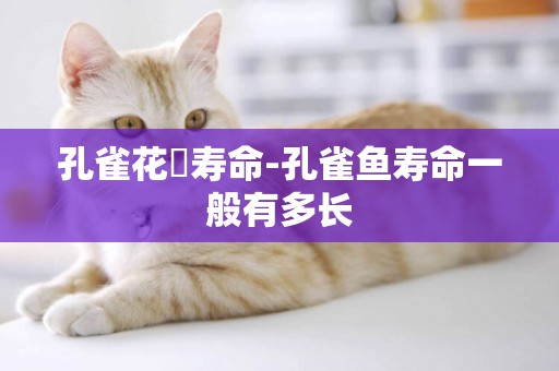 孔雀花鳉壽命-孔雀魚壽命一般有多長