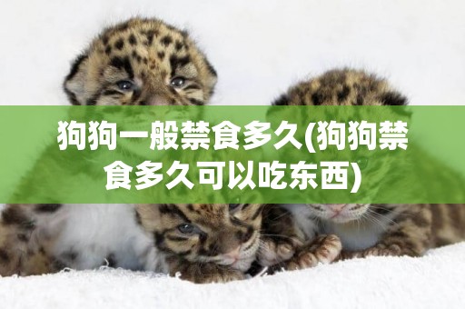 狗狗一般禁食多久(狗狗禁食多久可以吃東西)