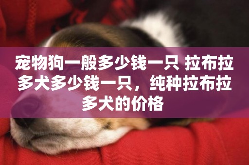 寵物狗一般多少錢一只 拉布拉多犬多少錢一只，純種拉布拉多犬的價格 