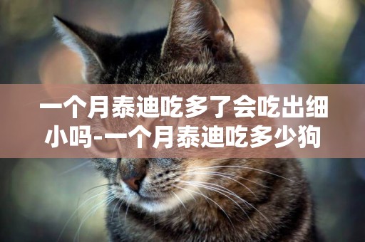 一個月泰迪吃多了會吃出細小嗎-一個月泰迪吃多少狗糧