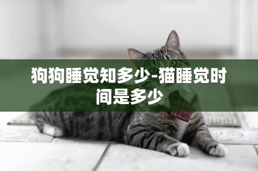 狗狗睡覺知多少-貓睡覺時間是多少