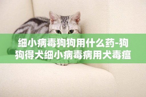 細小病毒狗狗用什么藥-狗狗得犬細小病毒病用犬毒瘟靈