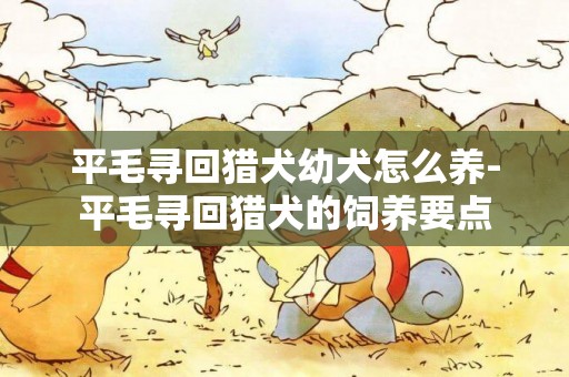 平毛尋回獵犬幼犬怎么養-平毛尋回獵犬的飼養要點