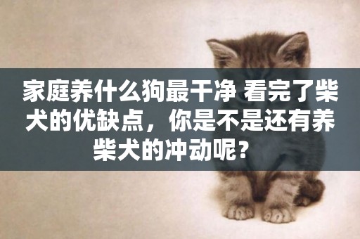 家庭養什么狗最干凈 看完了柴犬的優缺點，你是不是還有養柴犬的沖動呢？ 