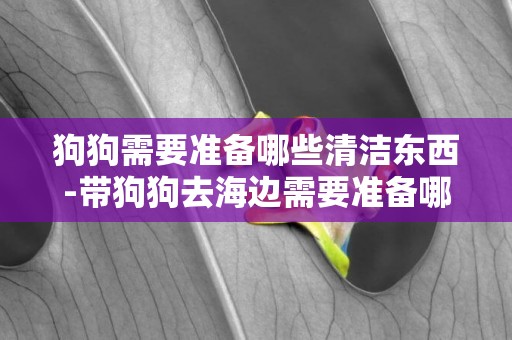 狗狗需要準備哪些清潔東西-帶狗狗去海邊需要準備哪些東西