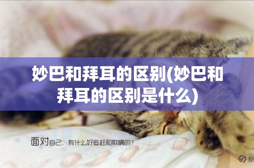 妙巴和拜耳的區別(妙巴和拜耳的區別是什么)
