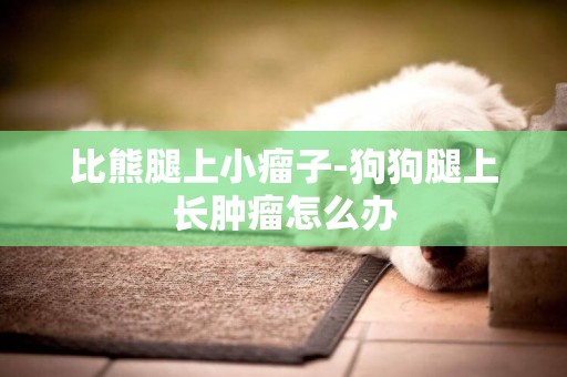 比熊腿上小瘤子-狗狗腿上長腫瘤怎么辦