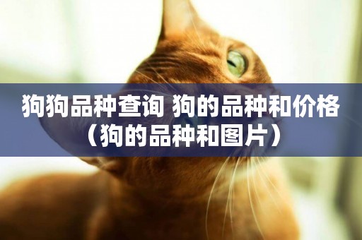 狗狗品種查詢 狗的品種和價格（狗的品種和圖片） 