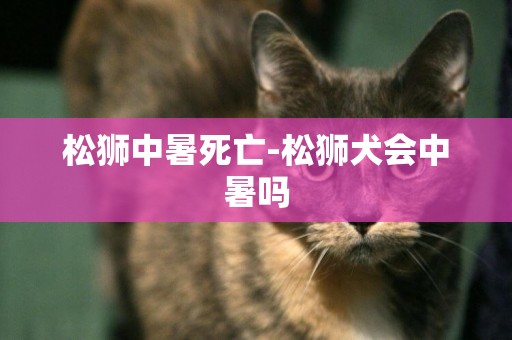 松獅中暑死亡-松獅犬會中暑嗎