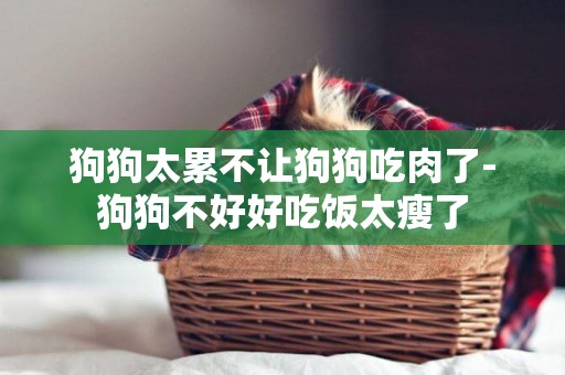 狗狗太累不讓狗狗吃肉了-狗狗不好好吃飯太瘦了