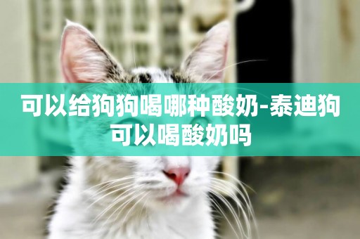 可以給狗狗喝哪種酸奶-泰迪狗可以喝酸奶嗎