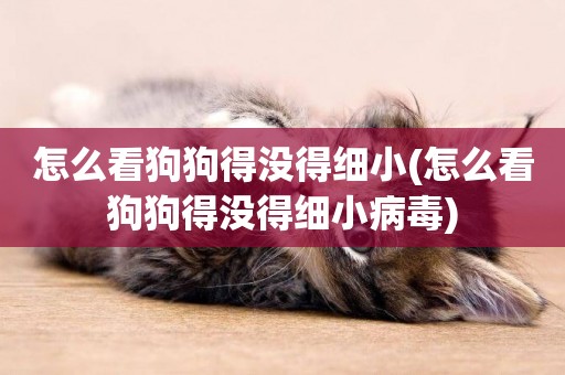 怎么看狗狗得沒得細小(怎么看狗狗得沒得細小病毒)