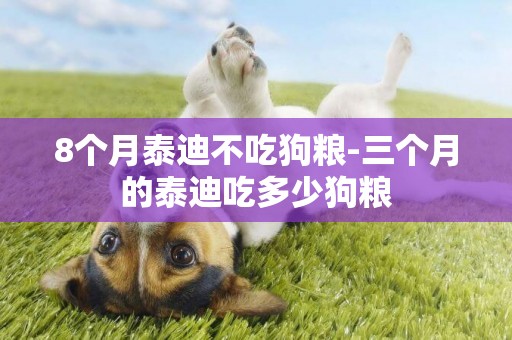 8個月泰迪不吃狗糧-三個月的泰迪吃多少狗糧