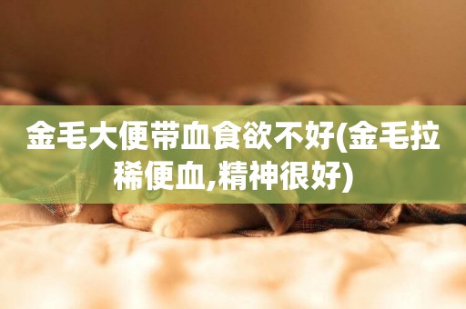 金毛大便帶血食欲不好(金毛拉稀便血,精神很好)