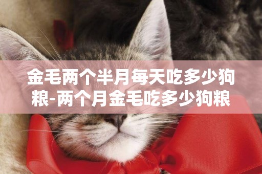 金毛兩個半月每天吃多少狗糧-兩個月金毛吃多少狗糧
