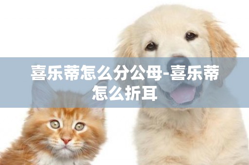喜樂蒂怎么分公母-喜樂蒂怎么折耳
