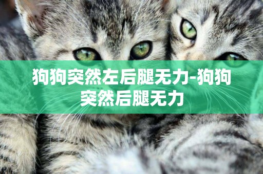 狗狗突然左后腿無力-狗狗突然后腿無力