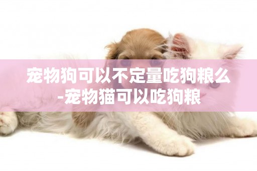 寵物狗可以不定量吃狗糧么-寵物貓可以吃狗糧