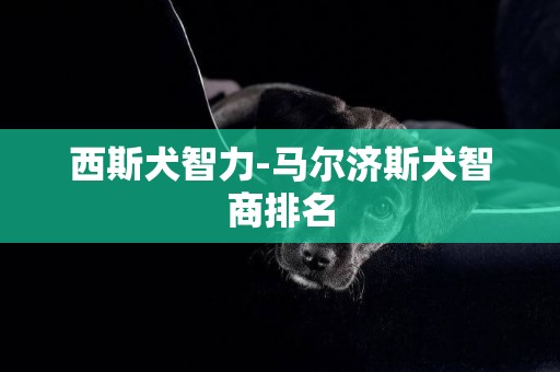 西斯犬智力-馬爾濟斯犬智商排名