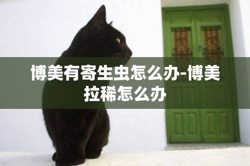 博美有寄生蟲怎么辦-博美拉稀怎么辦