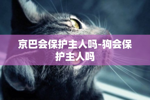京巴會保護主人嗎-狗會保護主人嗎