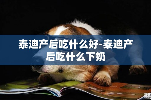 泰迪產后吃什么好-泰迪產后吃什么下奶
