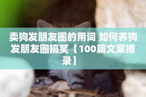 賣狗發朋友圈的用詞 如何養狗發朋友圈搞笑【100篇文案摘錄】 