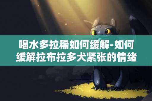 喝水多拉稀如何緩解-如何緩解拉布拉多犬緊張的情緒