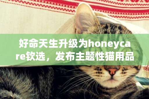 好命天生升級為honeycare欽選,發布主題性貓用品 好命天生升級為honeycare欽選,發布主題性貓用品
